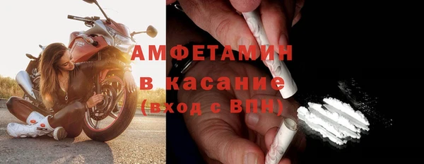 сатива Арсеньев