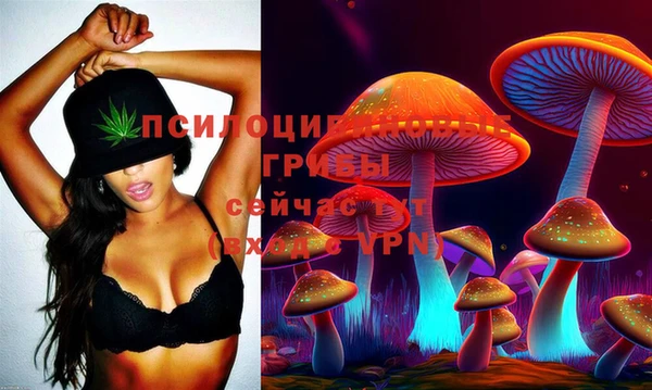сатива Арсеньев