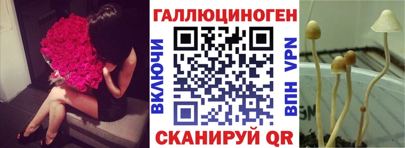 где продают наркотики  Урюпинск  Галлюциногенные грибы Cubensis 